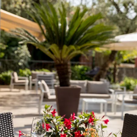 酒店 佩斯酒店 3*