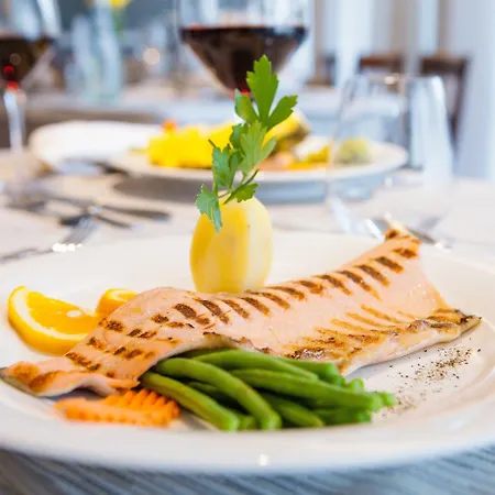 酒店 佩斯酒店 托里德尔贝纳科