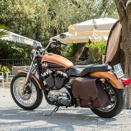 酒店 佩斯酒店 3*